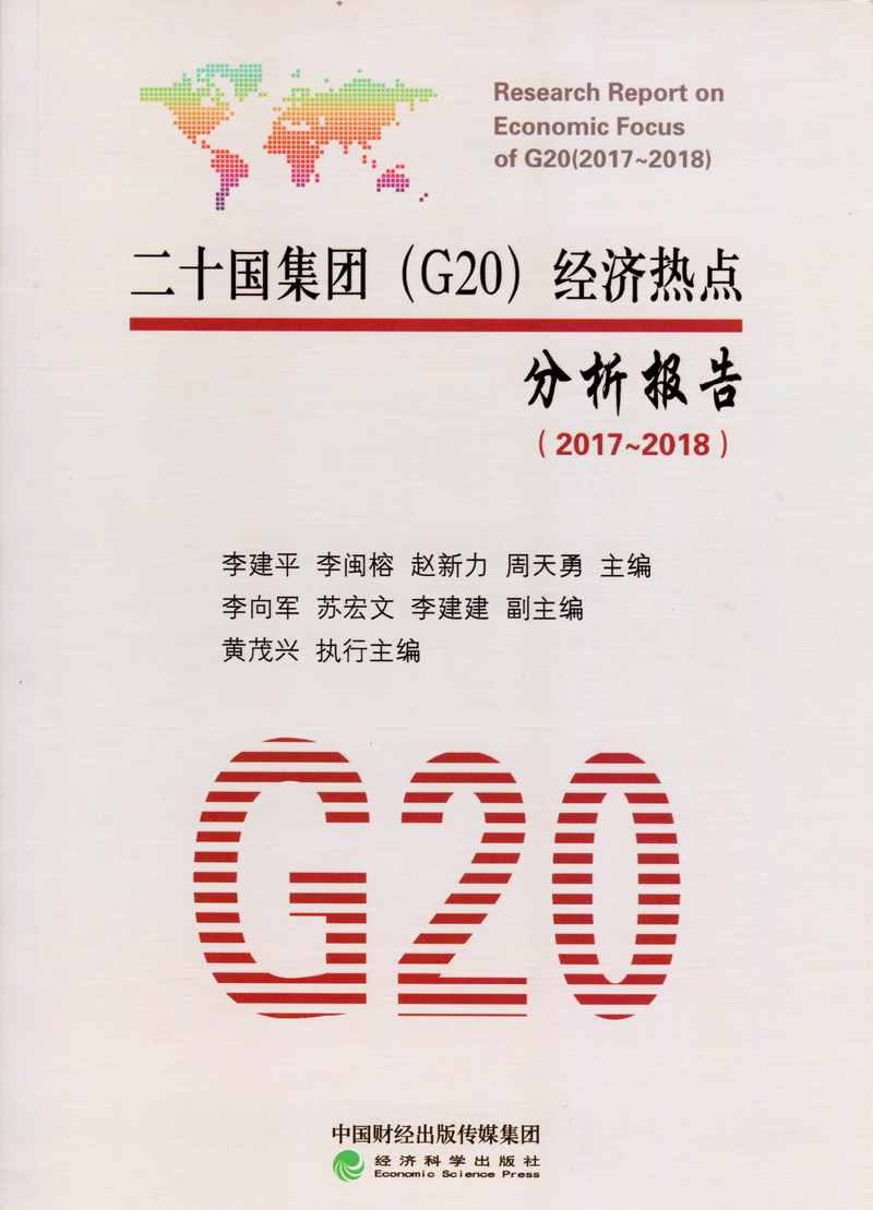 男插女插到爽歪歪二十国集团（G20）经济热点分析报告（2017-2018）