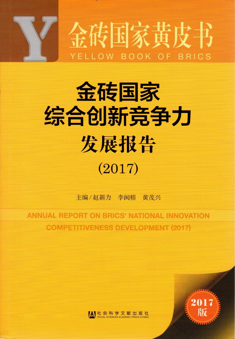 国产狂操大骚逼视频金砖国家综合创新竞争力发展报告（2017）